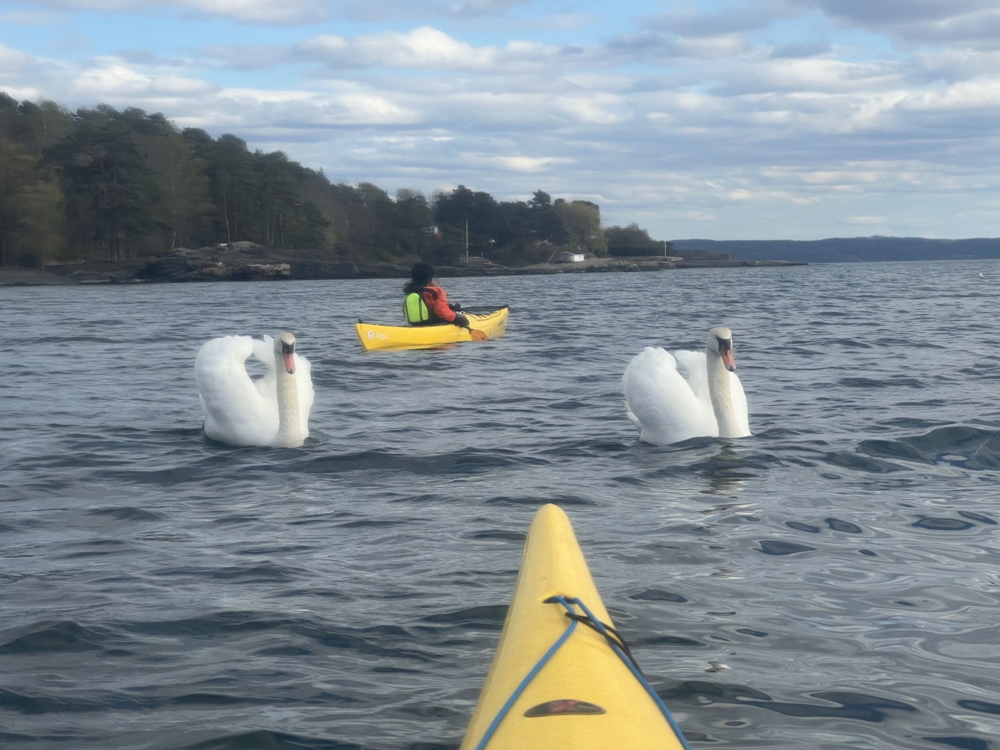Grunnkurs havkajakk høst 2022
